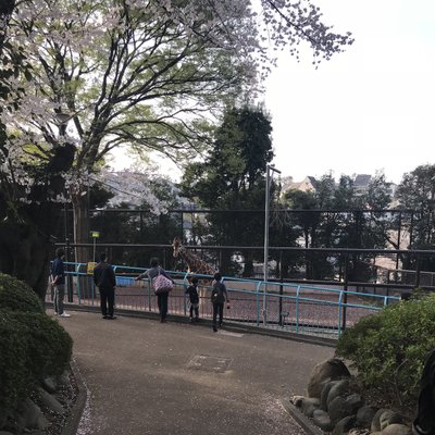 野毛山動物園