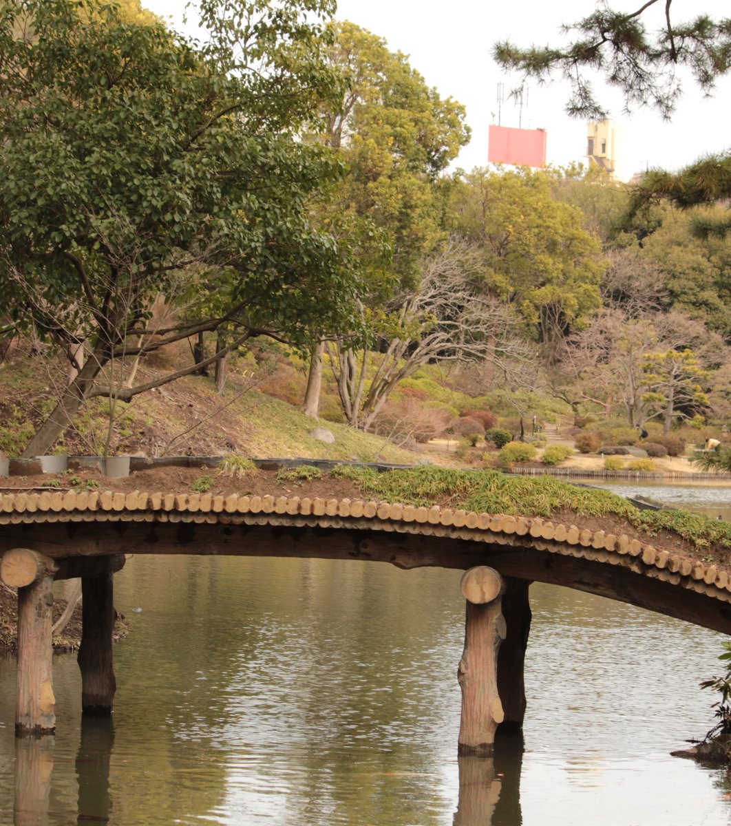 六義園 千鳥橋