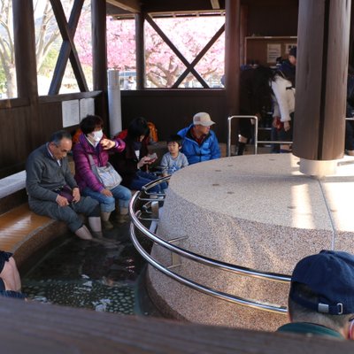 さくらの足湯処