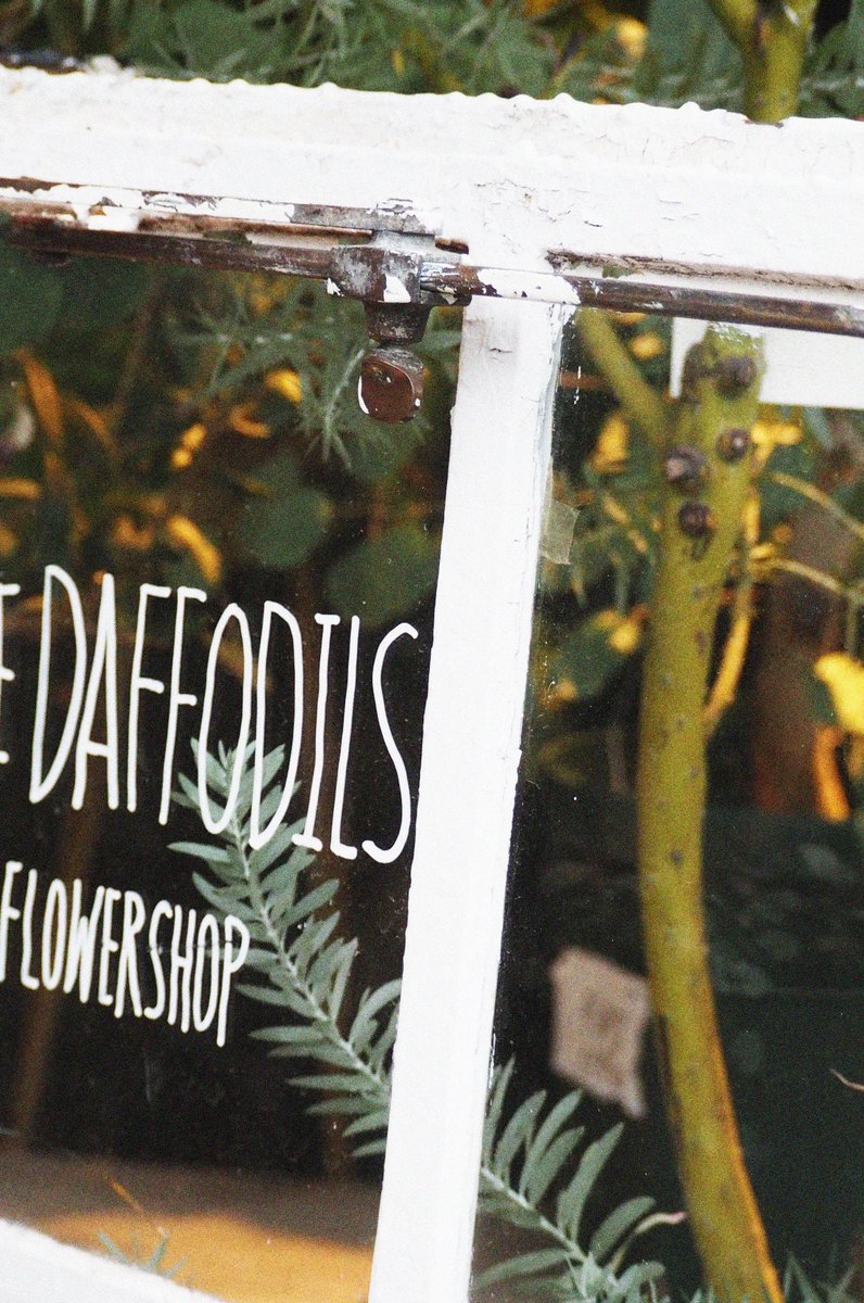 THE DAFFODILS flowershop