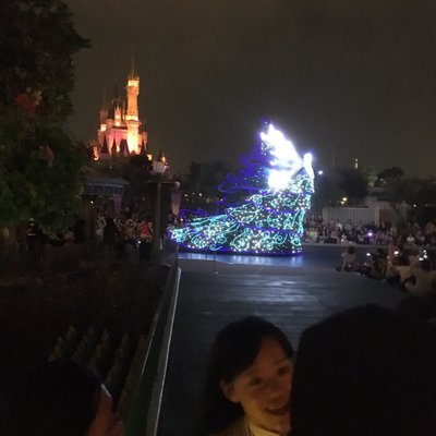 東京ディズニーランド(c)