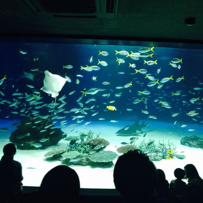 サンシャイン水族館