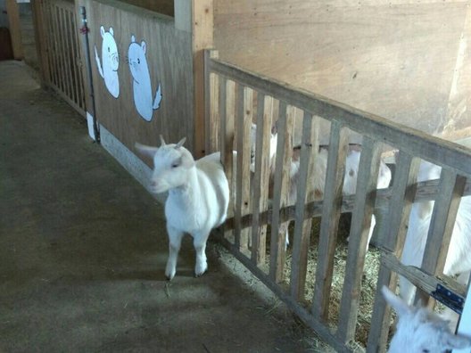 三瀬ルベール牧場どんぐり村