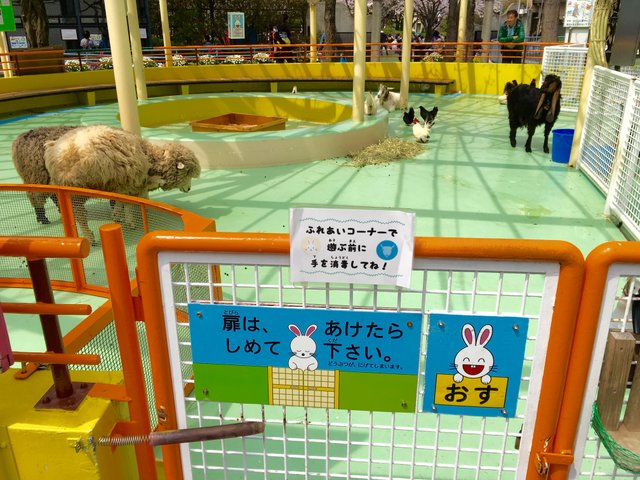 東京都内 近郊の動物園 これで絶対ハズさない おすすめ動物園10選 Playlife プレイライフ