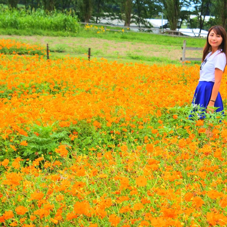 滋賀農業公園ブルーメの丘