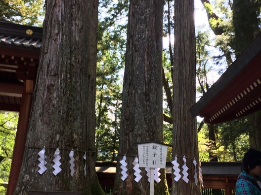 日光二荒山神社