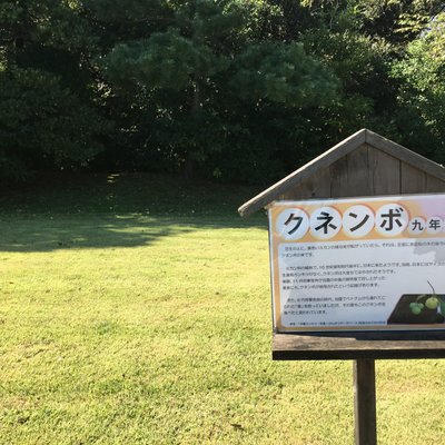 浜離宮恩賜庭園