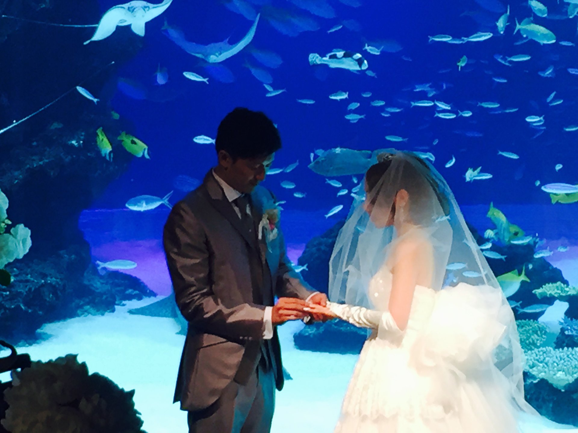 池袋サンシャイン水族館を貸切！ロマンティックな結婚式とサンシャイン60での極上披露宴♡