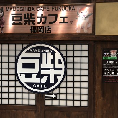 豆柴カフェ 福岡店