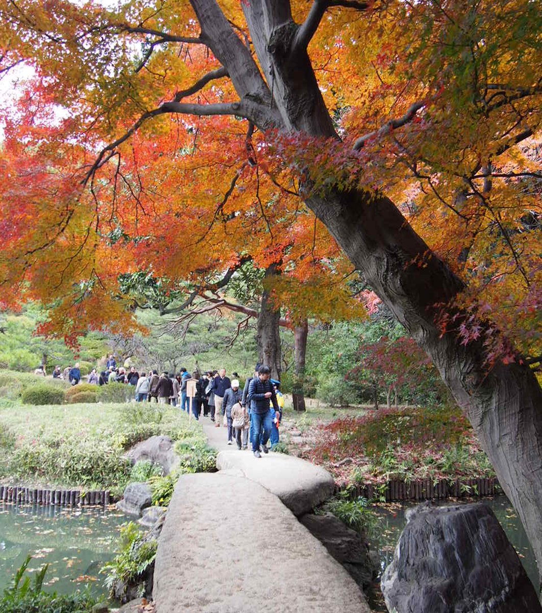 六義園 渡月橋