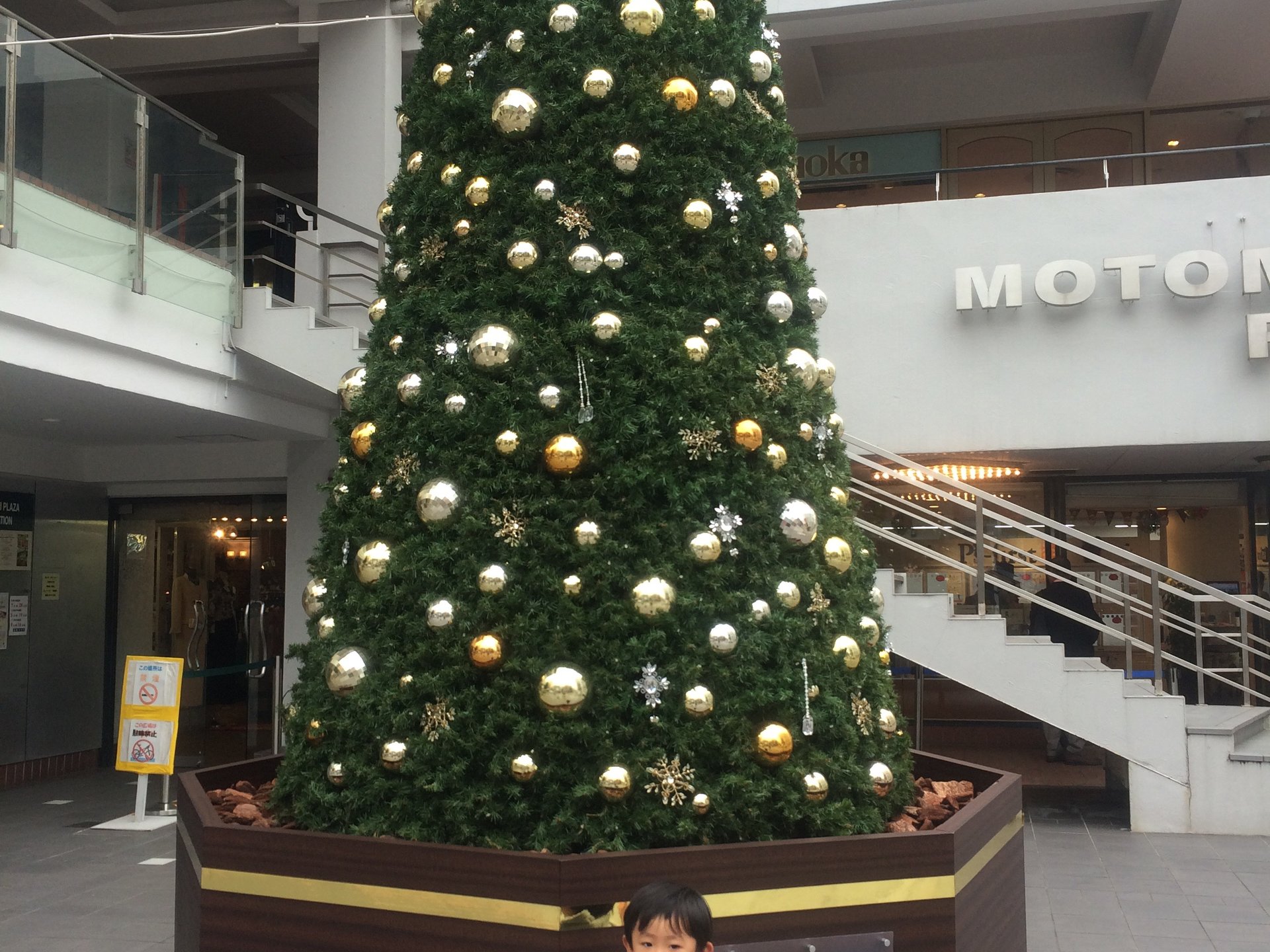 クリスマス間近‼︎綺麗で可愛い横浜でクリスマスツリー巡り♡