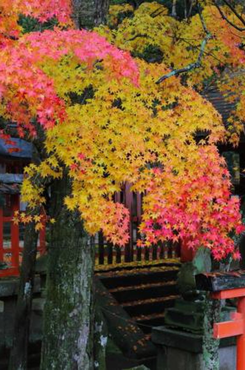 手向山八幡宮