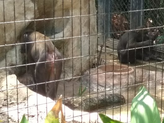 到津の森公園