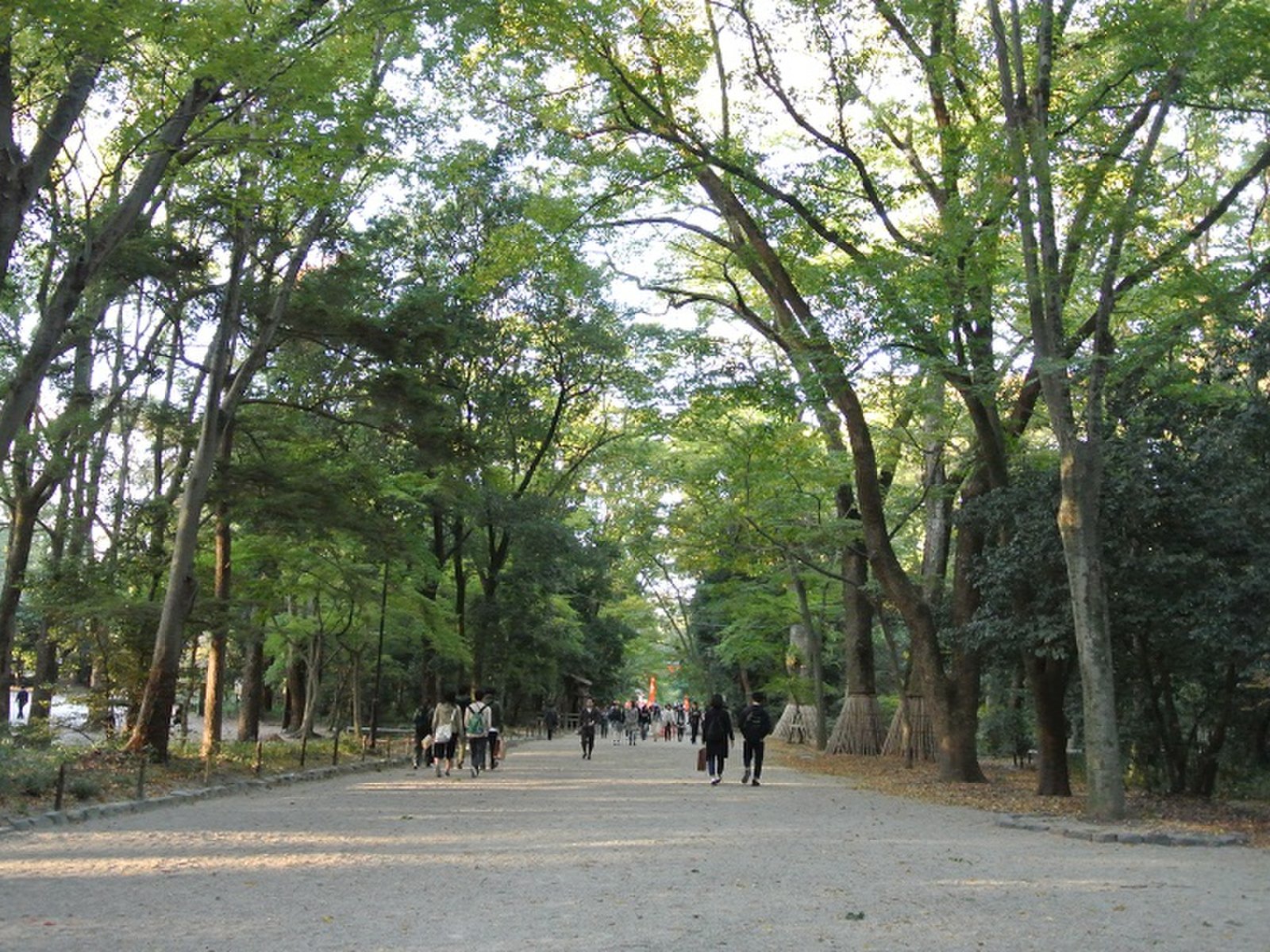 京都で 森見登美彦の小説に載った舞台の地 を巡るプラン 下鴨神社からバー 猫ラーメン Playlife プレイライフ