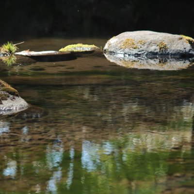 殿ヶ谷戸庭園