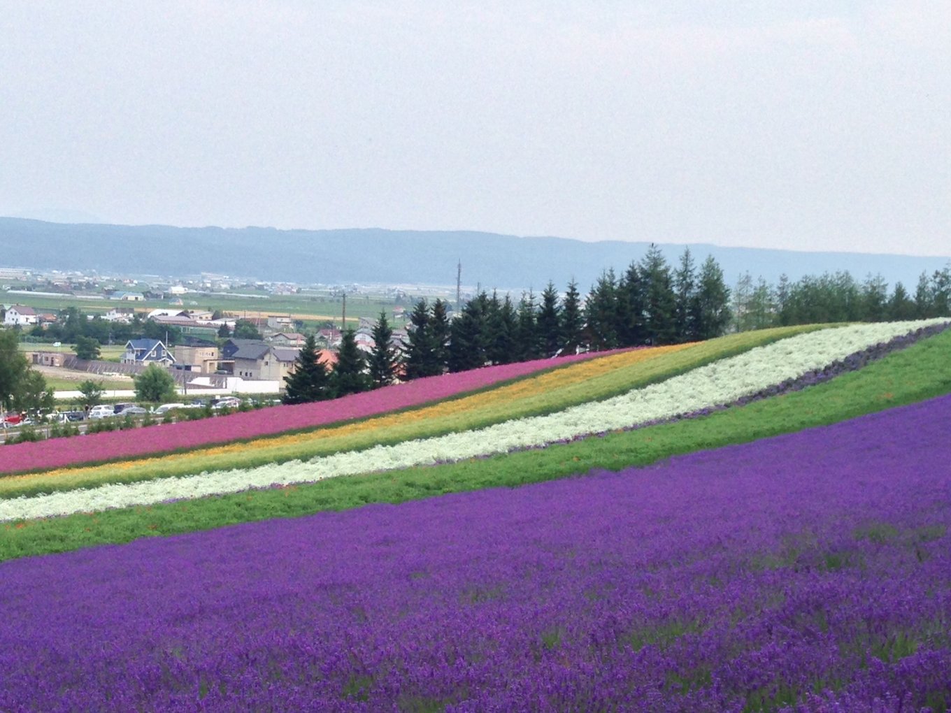 旅行で行きたい日本各地のフラワーパーク 古今東西日本全国にある美しいお花畑を一挙大公開 Playlife プレイライフ