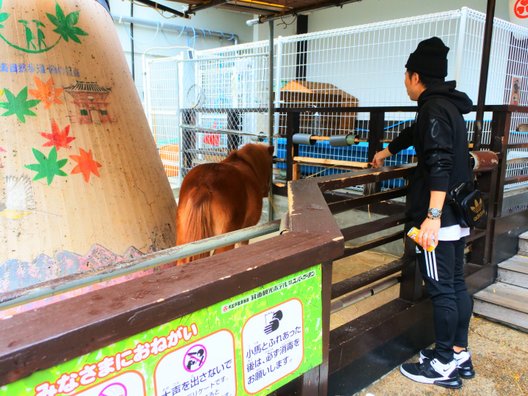 大江戸温泉物語箕面温泉スパーガーデン