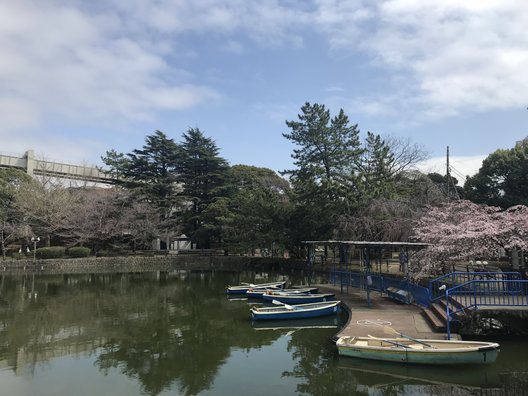 千葉公園ボートセンター