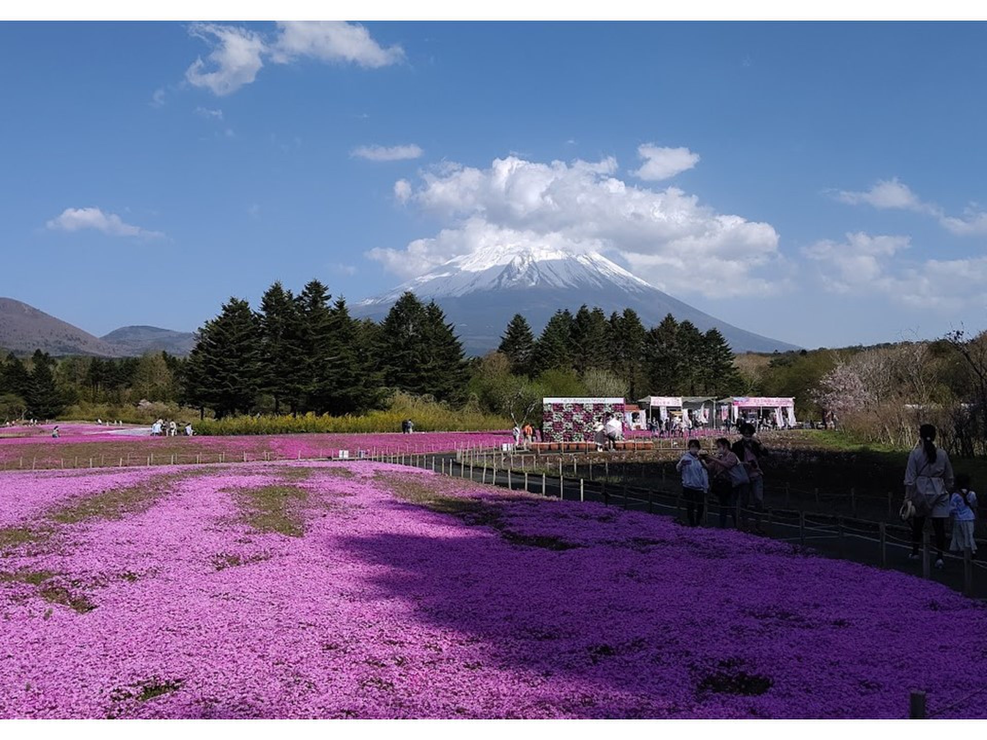 富士本栖湖リゾート