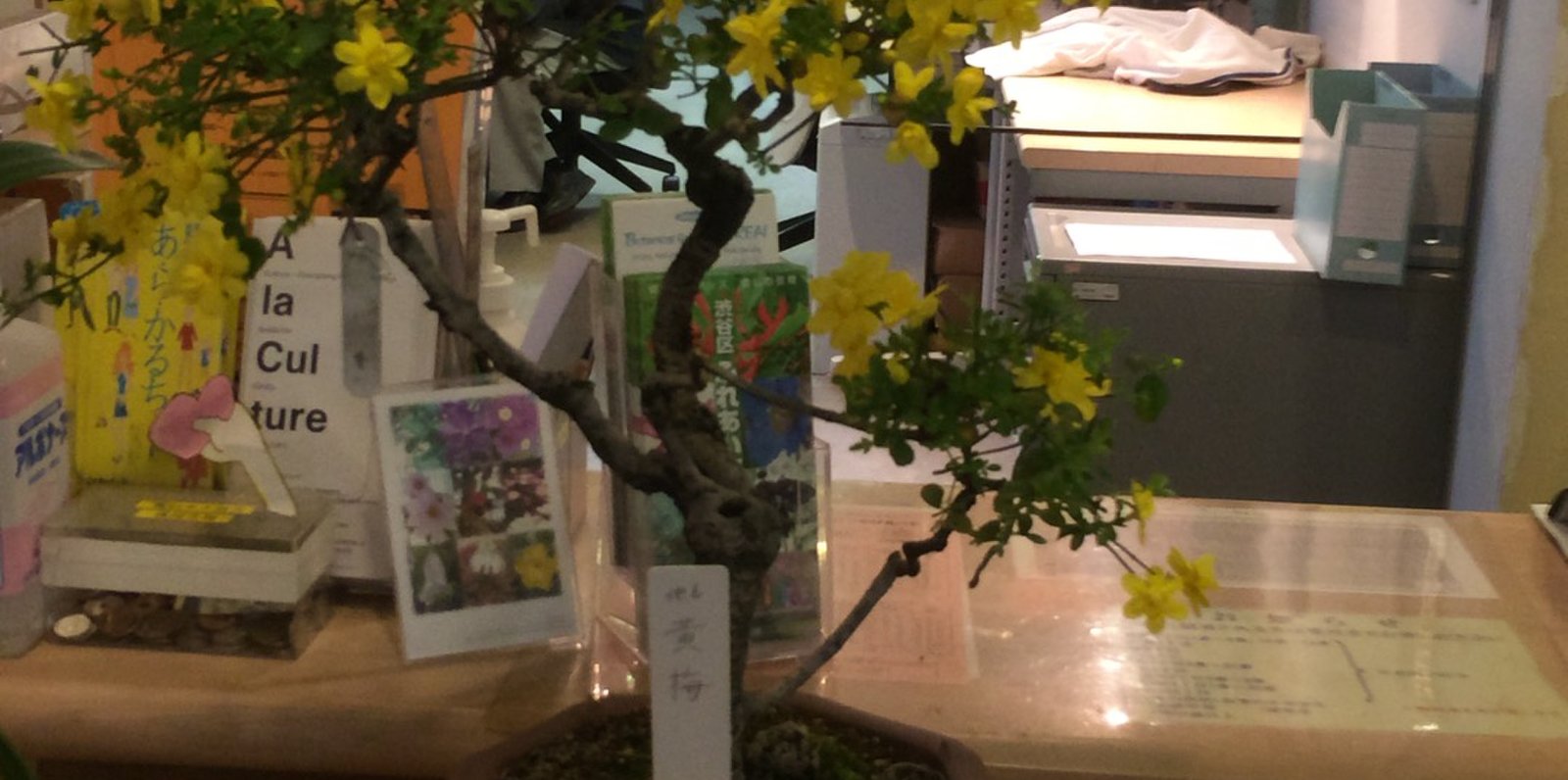 渋谷区ふれあい植物センター