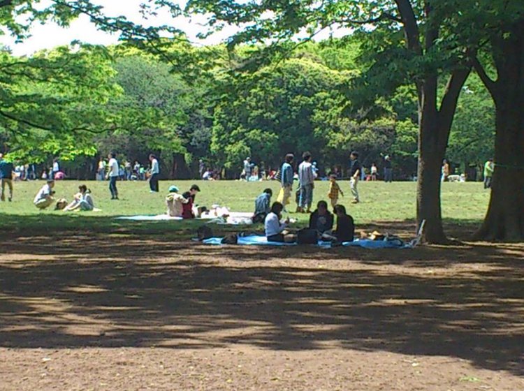代々木公園ピクニックデート 上級者が教えるのコスパ最高のデートコース Playlife プレイライフ