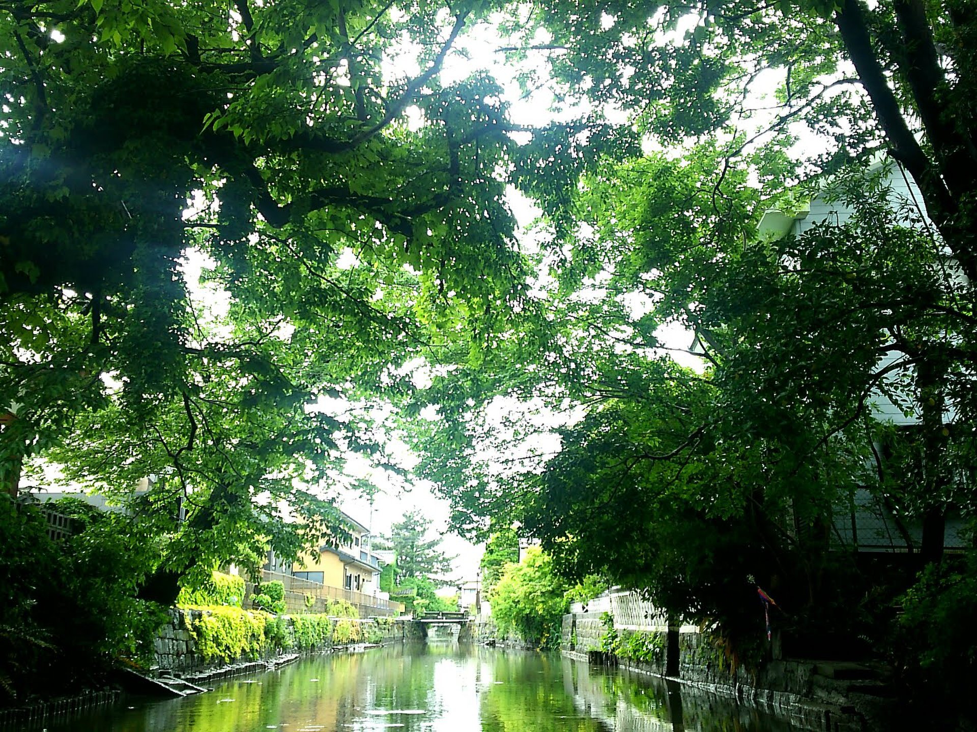 柳川水郷