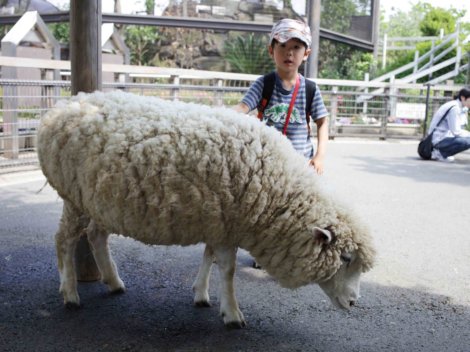 【改修のため休園中】あらかわ遊園