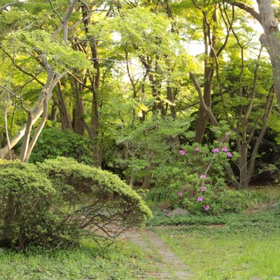 台場公園