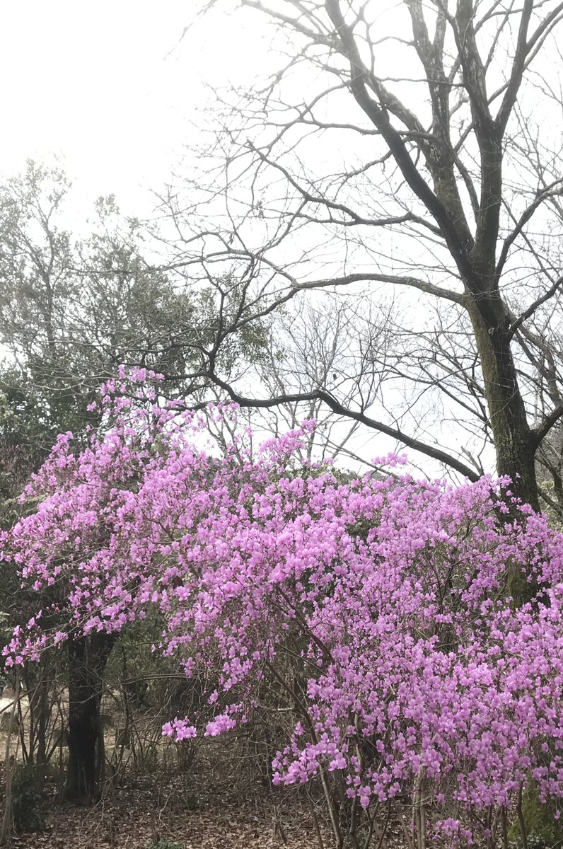 嵐山公園 (亀山地区)