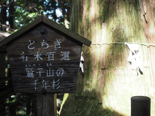 鷲子山上神社