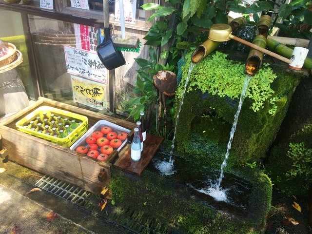 熊本県民おすすめ 赤ちゃんと癒しの熊本温泉旅行 キッズ歓迎宿 グルメ観光モデルコースをご紹介 Playlife プレイライフ