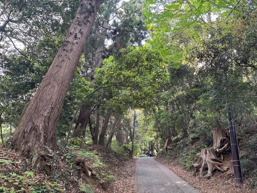 高尾山