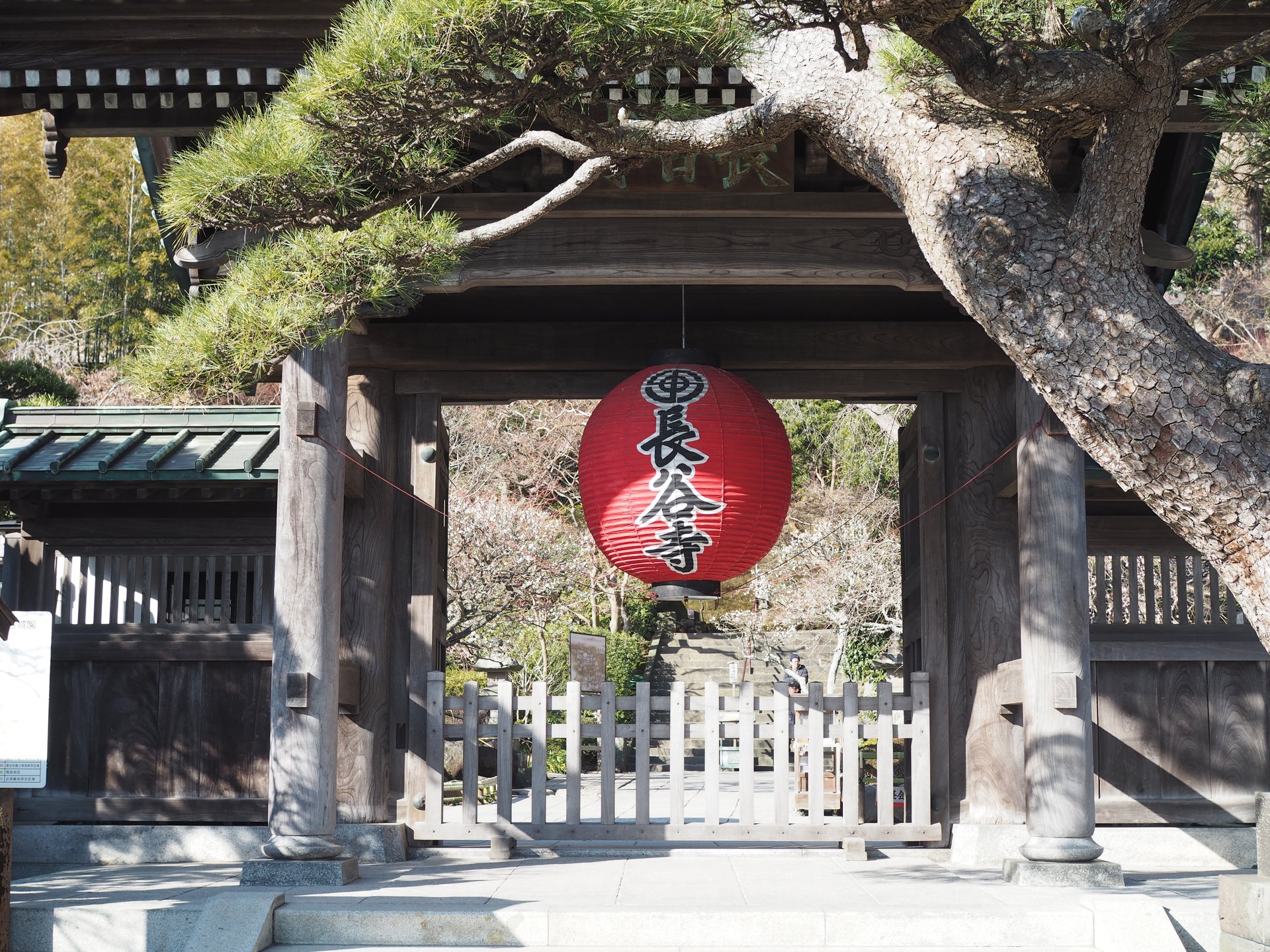 【鎌倉さんぽ】古都鎌倉を歩く！鎌倉七福神を回ってみよう♪いまは紫陽花！長谷寺は四季折々楽しめます♡