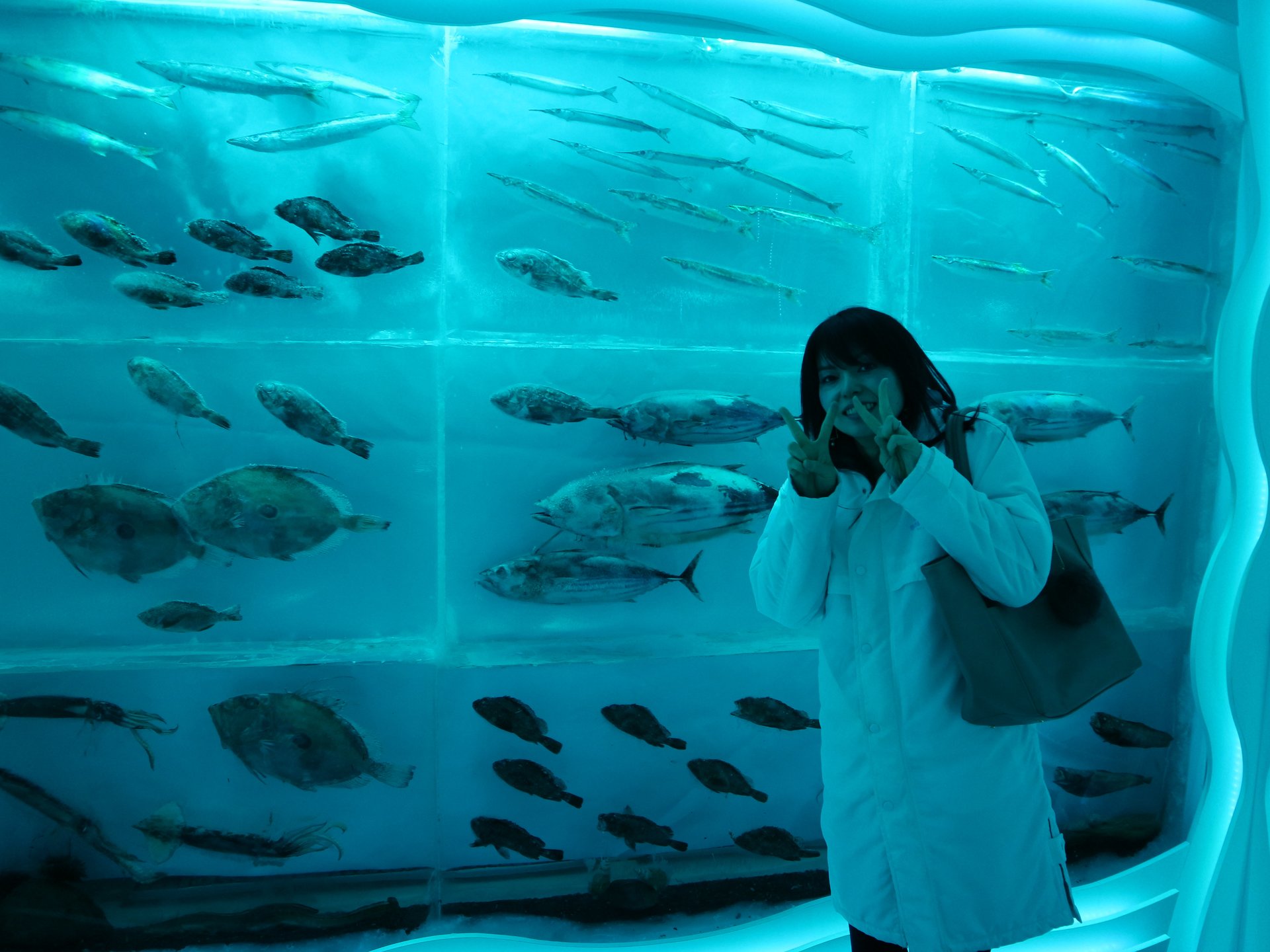 おもしろ博物館好きに！シャークミュージアムと氷の水族館が【宮城県・気仙沼】の海の市にあるよ♪