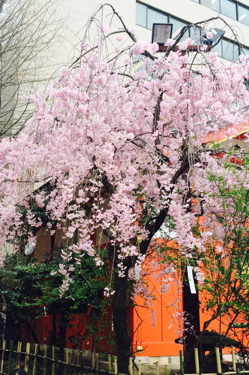 花園神社