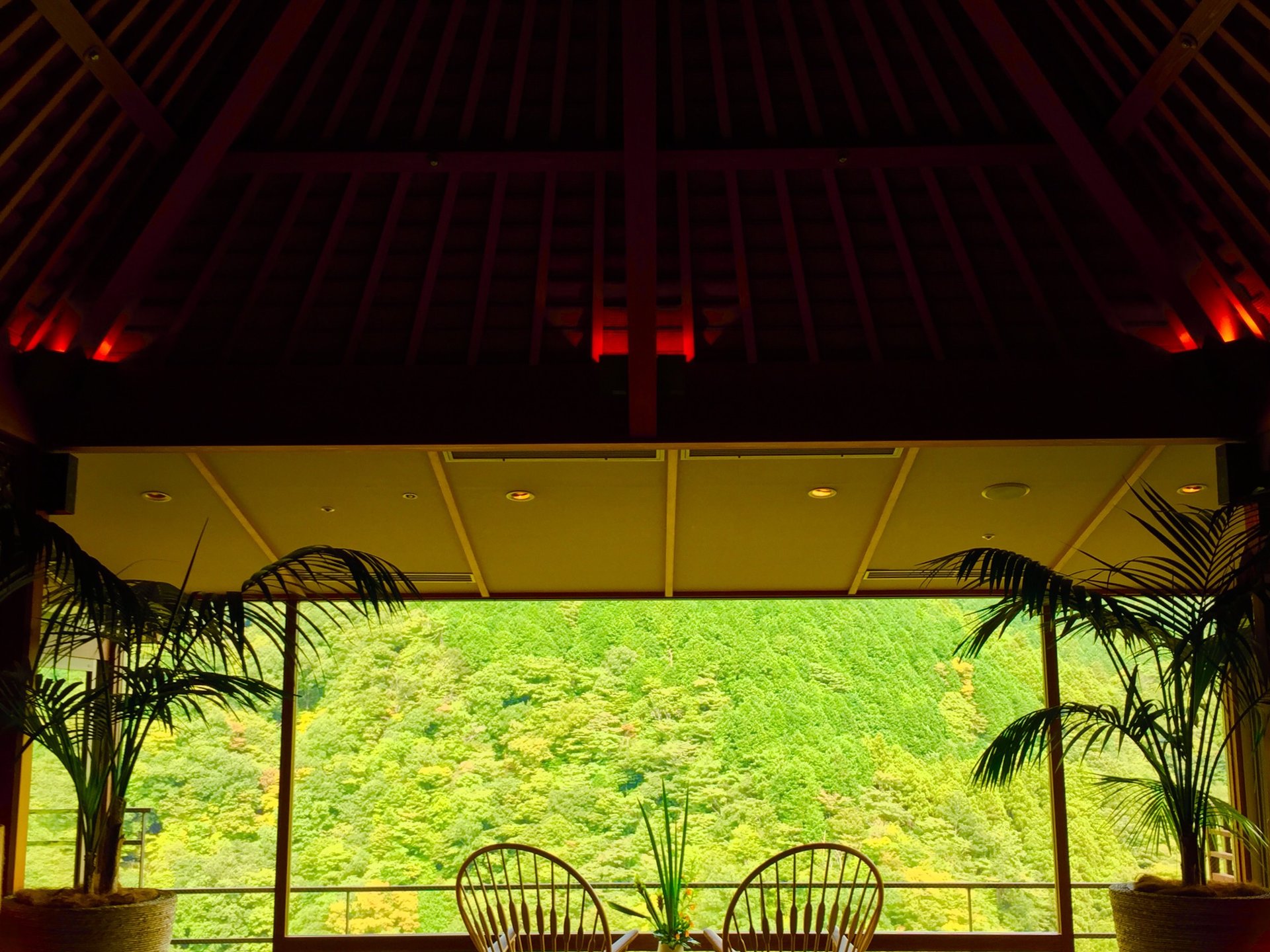 《体験レポート》日本一予約のとれない宿！ラグジュアリー温泉旅館”箱根吟遊”