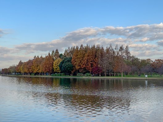 都立水元公園