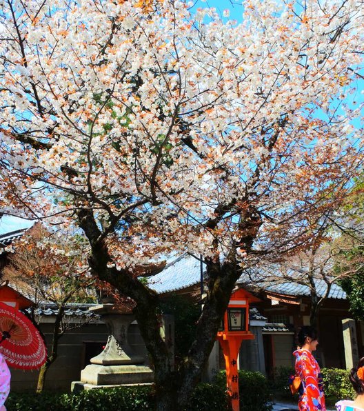 八坂神社