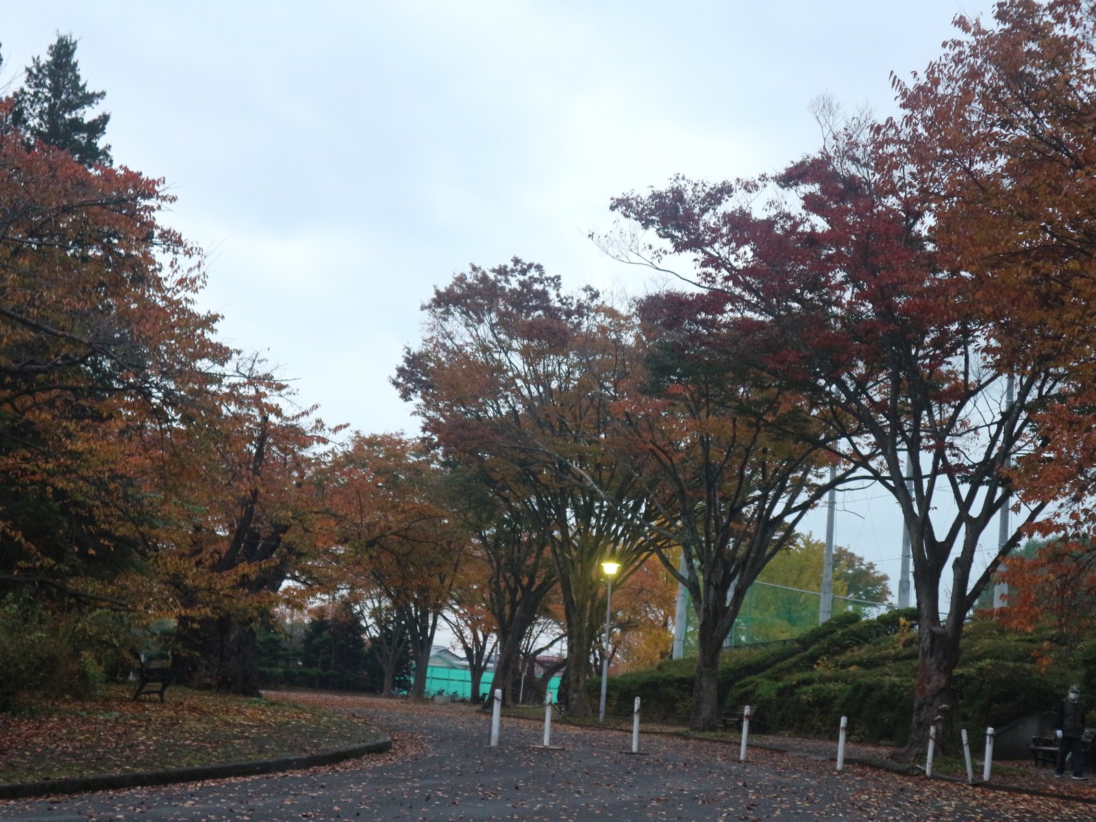 水沢公園