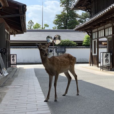 紅葉谷駅(宮島ロープウェイ)