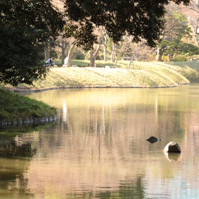 小石川後楽園 大泉水 