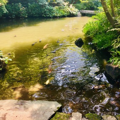 池田山公園