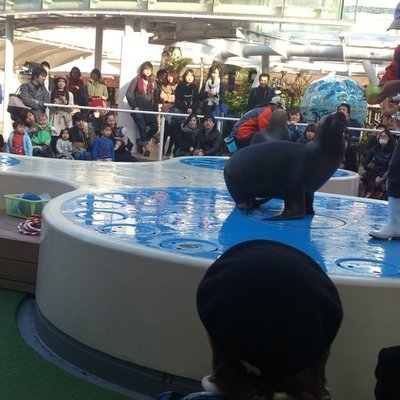 サンシャイン水族館