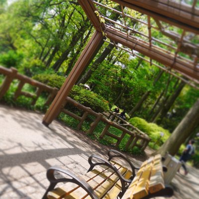 井の頭恩賜公園