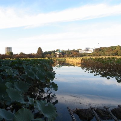 上野恩賜公園