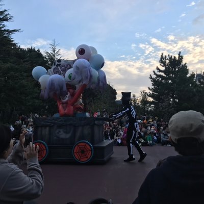 東京ディズニーランド(c)