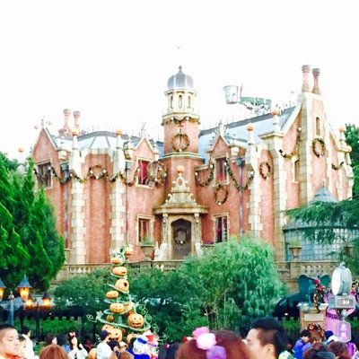 東京ディズニーランド(c)