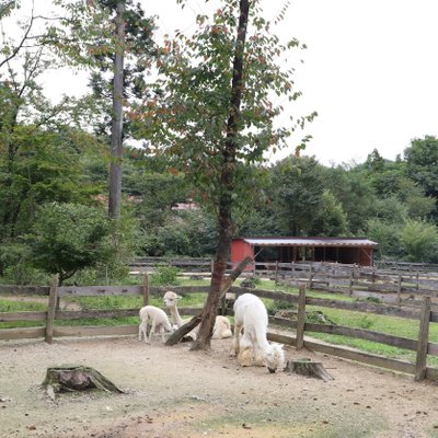 のんびり温泉別館 イワナの里