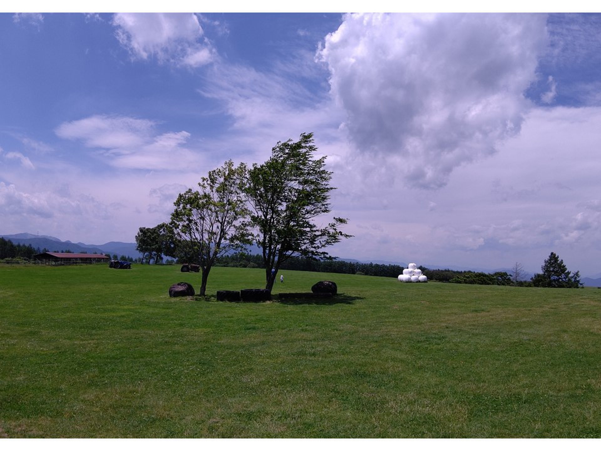 避暑地を堪能！夏の蓼科をドライブ＆お散歩デートしよう