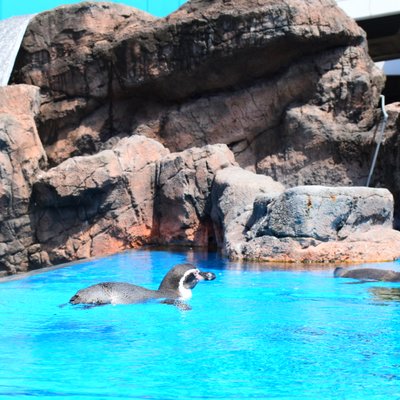 鳥羽水族館